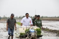 Wakil Menteri Pertanian (Wamentan) Sudaryono melakukan penanaman padi di salah satu ladang persawahan di Kabupaten Jepara, Jawa Tengah. (Dok. Kementan)