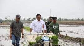 Wakil Menteri Pertanian (Wamentan) Sudaryono melakukan penanaman padi di salah satu ladang persawahan di Kabupaten Jepara, Jawa Tengah. (Dok. Kementan)