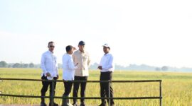 Menteri Pertanian (Mentan) Andi Amran Sulaiman dan Wakil Menteri Pertanian (Wamentan) Sudaryono. (Dok. Kementan)